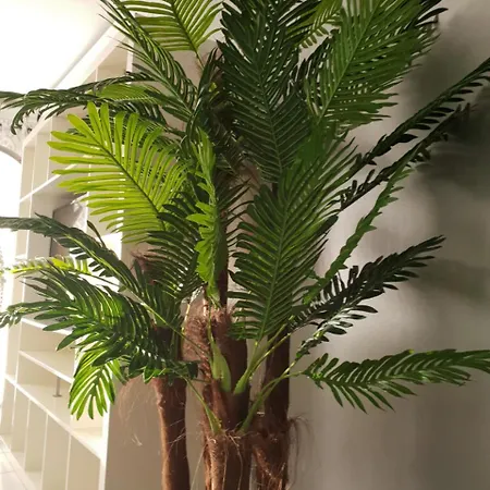 Hotel Prestige Holidays Alojamentos Nazaré