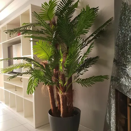 Hotel Prestige Holidays Alojamentos *